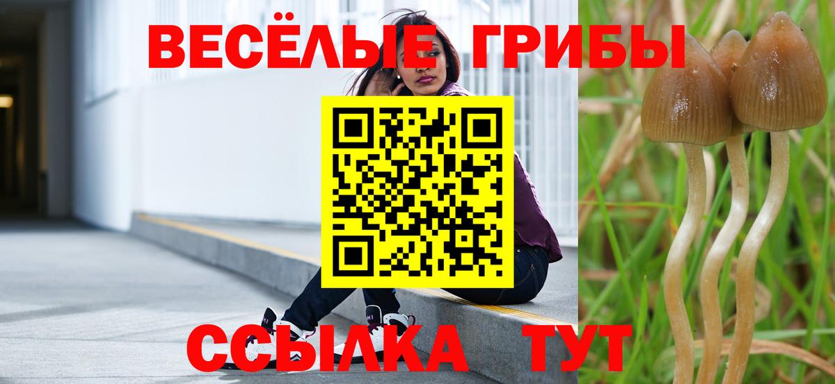 Псилоцибиновые грибы GOLDEN TEACHER Зима