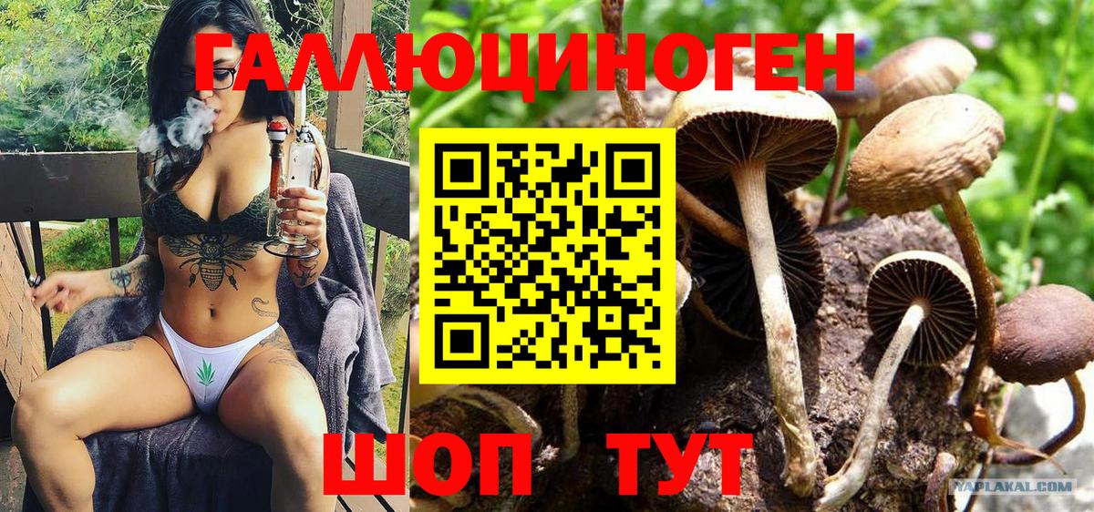 Галлюциногенные грибы Magic Shrooms  Вход с VPN  наркотики  Зима  Псилоцибиновые грибы Magic Shrooms 